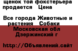 щенок той-фокстерьера продается › Цена ­ 25 000 - Все города Животные и растения » Собаки   . Московская обл.,Дзержинский г.